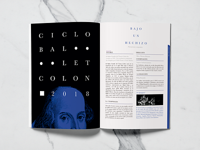 Opera House Ballet Program ballet branding design don quijote editorial graphic design illustration opera theatre typography