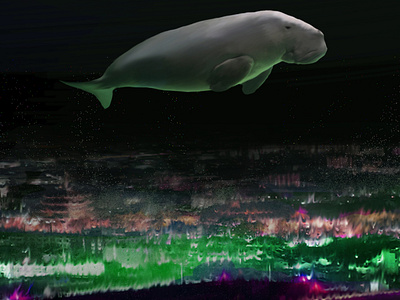 Dugong flies over japan night. animal colorfull digitalart dugong fantasy flyer illustration magic