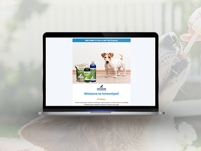 Innovet cats design dogs email marketing klaviyo pets responsive