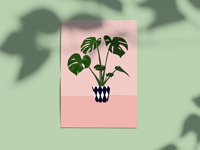 Monstera Postcard