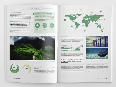 Corporate brochure template. branding brochure corporate infographics layout