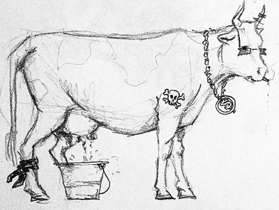 Cow illustration pencil art sketch