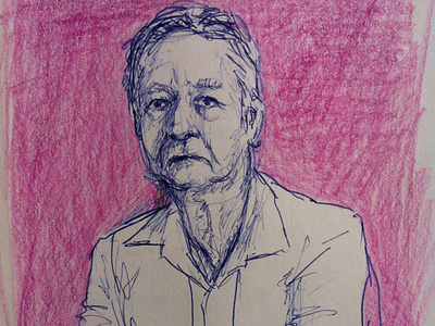 Bernie colour pencil illustration sketch