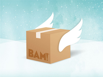 Expresshipping box express holiday shipping snow winter