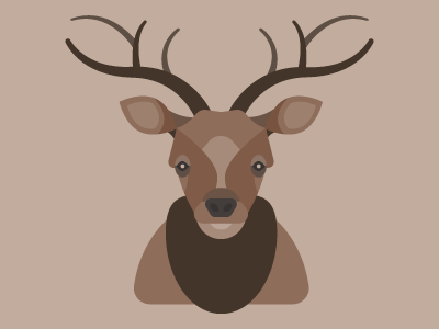 Elk Illustration animal buck character color debut deer elk first flat illustration vector wildlife