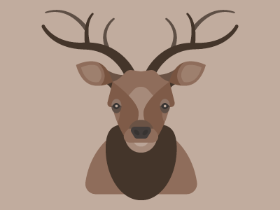 Elk Illustration