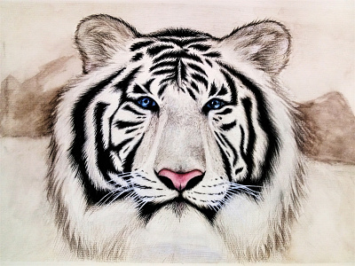 White Tiger - Art Project artwork illustration painting realistic drawing