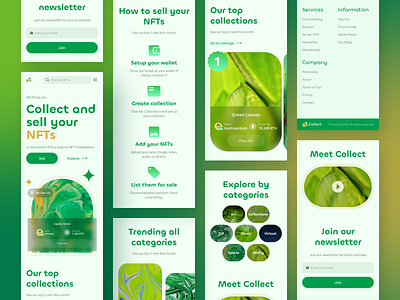 Collect - NFT Marketplace Responsive