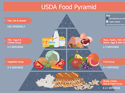 Food pyramid for USA customer design illustration vector