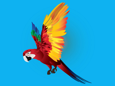 Parrot bird bird illustration character illustration parrot true parrot