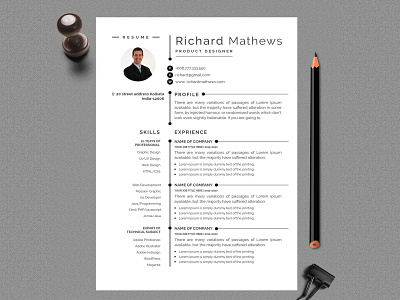 Professional Resume Design creative design cv resume resume template