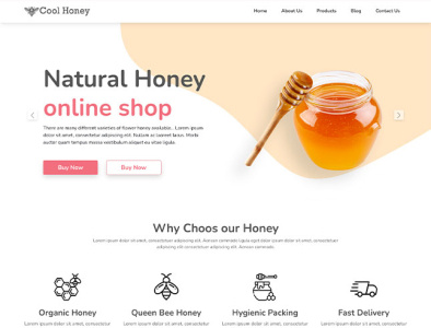 Download Honey Website Template for Free