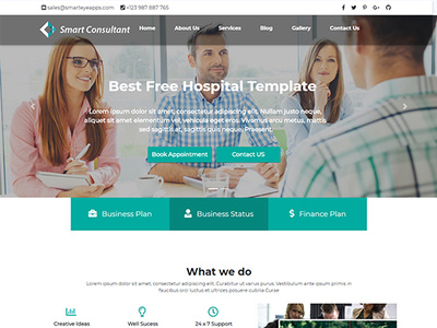 Consultant Free Website Template business website free templates