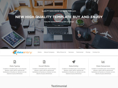 data entry website templates by Smart Eye on Dribbble