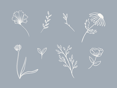 Floral Exploration branches exploration floral flower handdrawn leaves sketch sprout