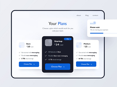 Choose your plan design product ui