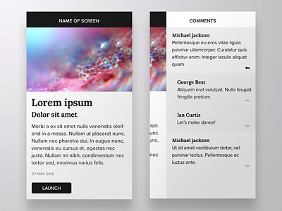 Post interface ios journal menu mobile serif type ui ux