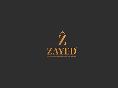 Mahmoud Zayed Personal-branding& profile