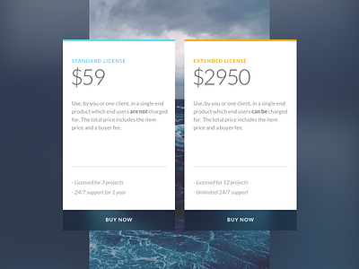 Shot 040 - Pricing Table