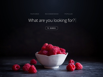Shot 045 - Search Header clean feature food ingredients interface minimal popular recipe search ui user