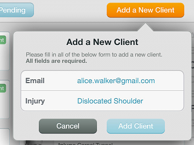 Healthcare Professionals App: New Client Popover buttons form headings modal tablet typography ui vizd