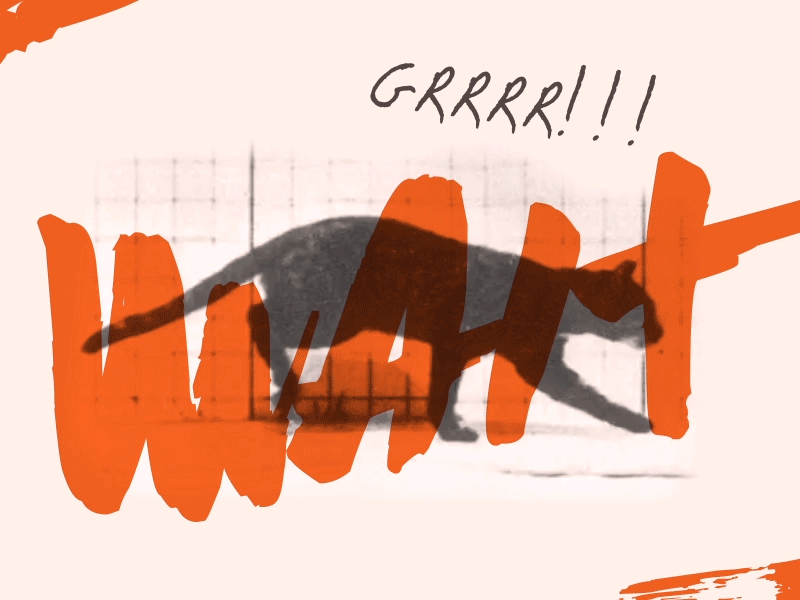 Grrrrr!!! cat dust half halftone old orange texture