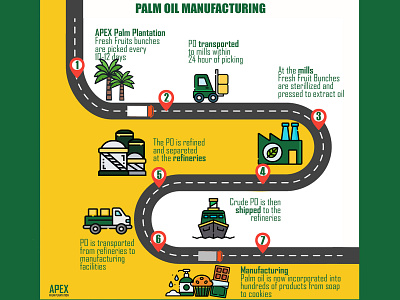 Palm Oil Manufacturing branding illustrator infographic information design manufacturing palm oil photoshop vector