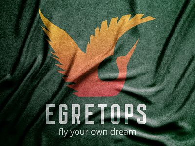 Logo concept for Egretops brand