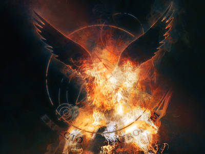 Expecto Patronum - Phoenix expecto patronum harrypotter magic phoenix poster