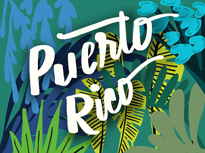 Puerto Rico illustrations jungle lettering procreate puerto rico type