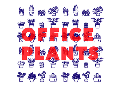 Office Plants