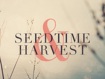 Seedtime & Harvest church message series sermon sermon design