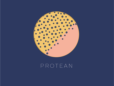 Protean branding design icon interaction design logo portfolio design selfbranding vector