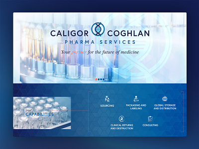 Pharmaceutical Services Company Website ux web design