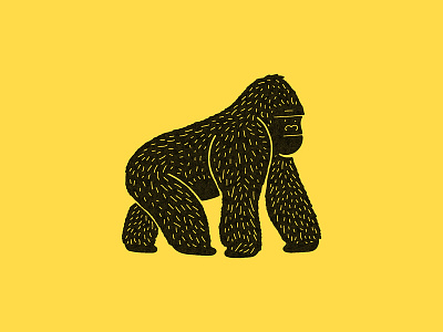 Gorilla animals colorful design fluffy forest gorilla gorillas hairy icon illustration monkey monkeys