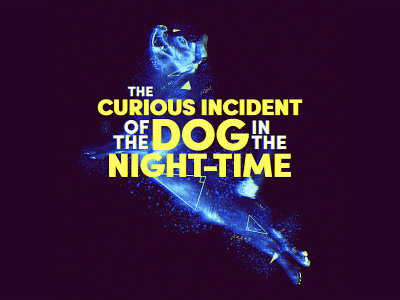 The Curious Incident of the Dog in the Night-Time branding composition design digital art graphic design graphic art poster theatre typography