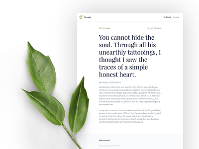 Simpler - Post Page app article comments layout post text typography