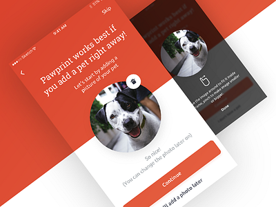 Pawprint App - Add photo android app ios native onboarding pawprint pet photo react