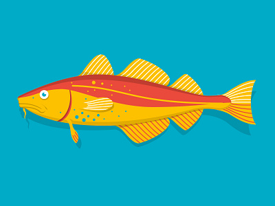 Cod atlantic cod fish illustration marine