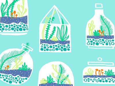 Terrariums Pattern illustration pattern succulent terrarium