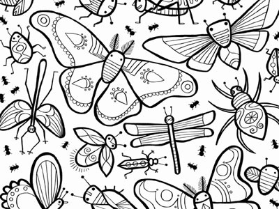 Coloring Sheet bugs butterfly illustration
