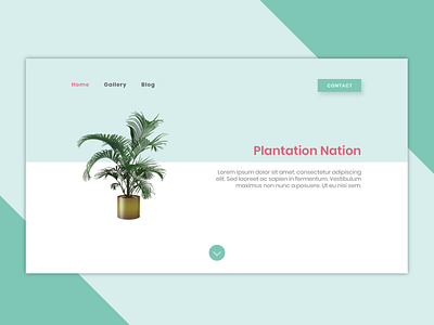 Plantation Website