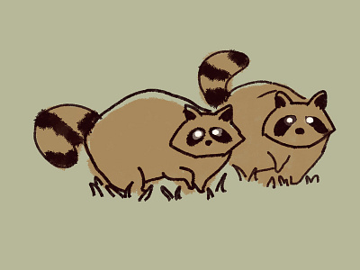 Racoon Nightwalk animal doodle drawing nightwalk photoshop raccoon racoon