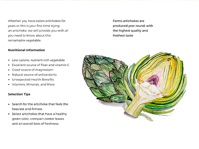 Food Watercolor illustration