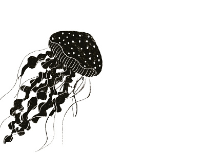 Jellyfish animal illustration banner black and white branding concept cute animal cute illustration design illustration illustration art illustrator poster art poster design tshirt design uidesign vectorart