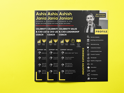 Business Profile branding brochure business profile flyer graphic design