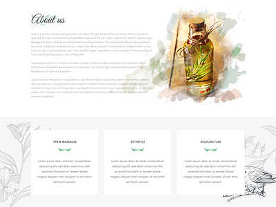 Leela Eco Spa design illustration ui web website