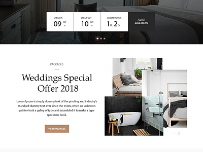 Hotel Web design illustration typography ui website