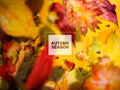 Autumn Background #2 autumn autumn background autumn leaves autumn season background branches design graphic design illustration photoshop watercolors