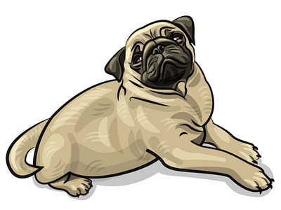 dog pug puppy dog drawing graphic illustraion illustration image pug puppy vector